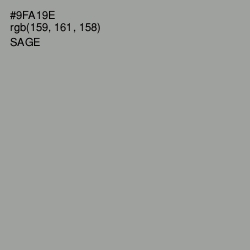 #9FA19E - Sage Color Image