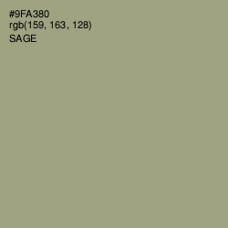 #9FA380 - Sage Color Image