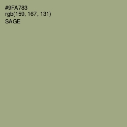 #9FA783 - Sage Color Image