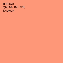 #FE9678 - Salmon Color Image