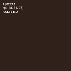 #30221A - Sambuca Color Image