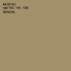 #A3916C - Sandal Color Image