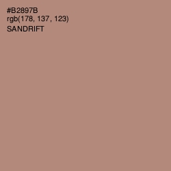#B2897B - Sandrift Color Image