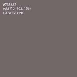 #736667 - Sandstone Color Image