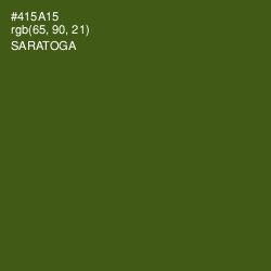 #415A15 - Saratoga Color Image