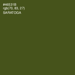 #46531B - Saratoga Color Image