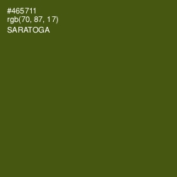 #465711 - Saratoga Color Image