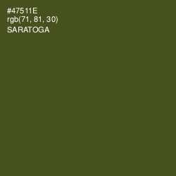 #47511E - Saratoga Color Image