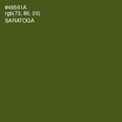 #49561A - Saratoga Color Image