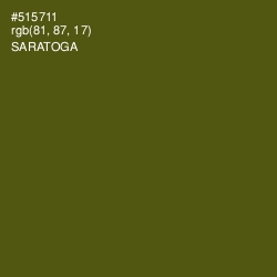 #515711 - Saratoga Color Image