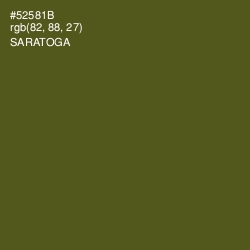 #52581B - Saratoga Color Image