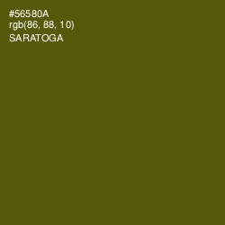 #56580A - Saratoga Color Image