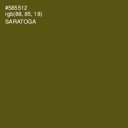 #585512 - Saratoga Color Image