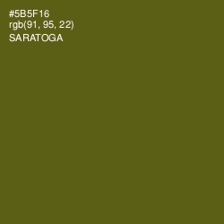 #5B5F16 - Saratoga Color Image
