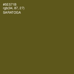 #5E571B - Saratoga Color Image