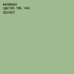 #A0BA90 - Schist Color Image