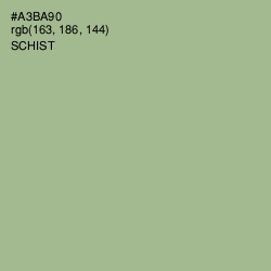 #A3BA90 - Schist Color Image