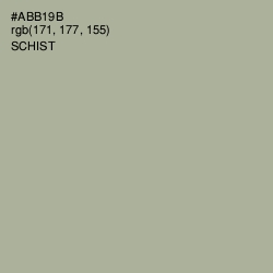 #ABB19B - Schist Color Image