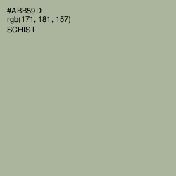 #ABB59D - Schist Color Image