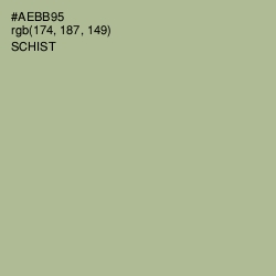 #AEBB95 - Schist Color Image