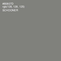 #80807D - Schooner Color Image