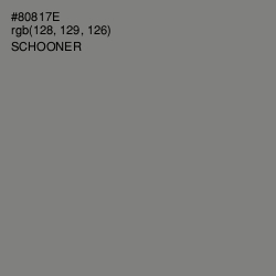 #80817E - Schooner Color Image