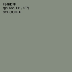#848D7F - Schooner Color Image
