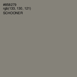 #858279 - Schooner Color Image