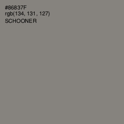 #86837F - Schooner Color Image