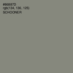 #86887D - Schooner Color Image