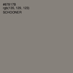 #87817B - Schooner Color Image
