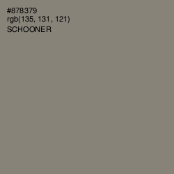 #878379 - Schooner Color Image