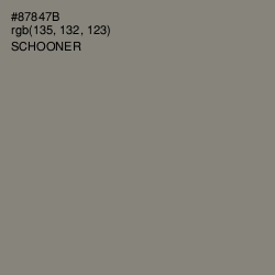 #87847B - Schooner Color Image