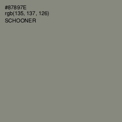 #87897E - Schooner Color Image