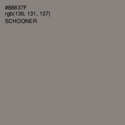#88837F - Schooner Color Image