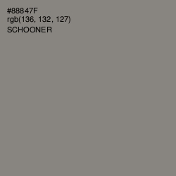 #88847F - Schooner Color Image