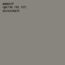 #88857F - Schooner Color Image