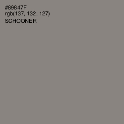 #89847F - Schooner Color Image