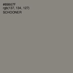 #89867F - Schooner Color Image