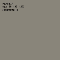 #8A857A - Schooner Color Image