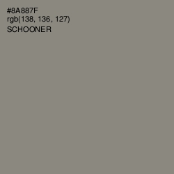 #8A887F - Schooner Color Image