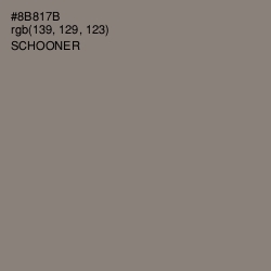 #8B817B - Schooner Color Image