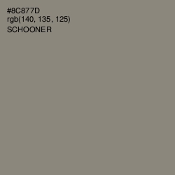 #8C877D - Schooner Color Image