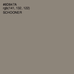 #8D847A - Schooner Color Image