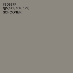 #8D887F - Schooner Color Image