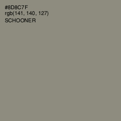 #8D8C7F - Schooner Color Image