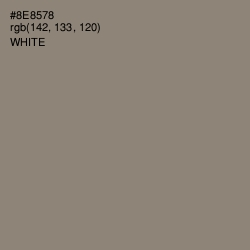 #8E8578 - Schooner Color Image