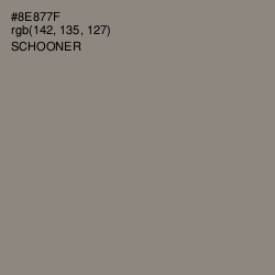#8E877F - Schooner Color Image