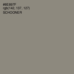 #8E897F - Schooner Color Image