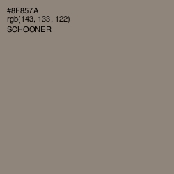 #8F857A - Schooner Color Image